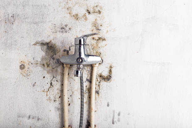 Best Bathroom Mold Remediation in Lakeside, VA
