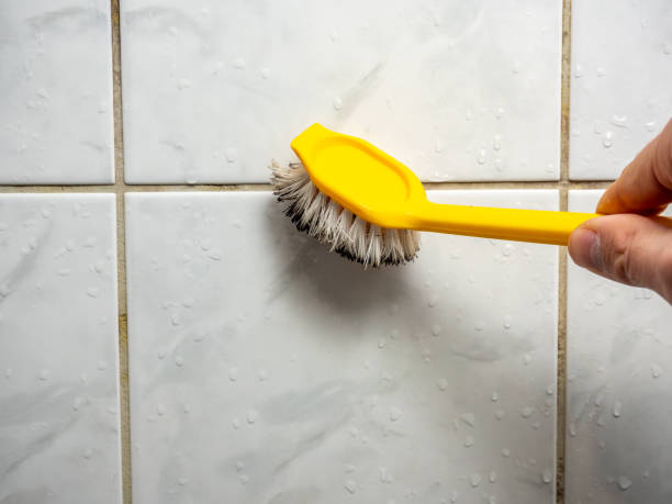 Best DIY Mold Remediation Support Services in Lakeside, VA